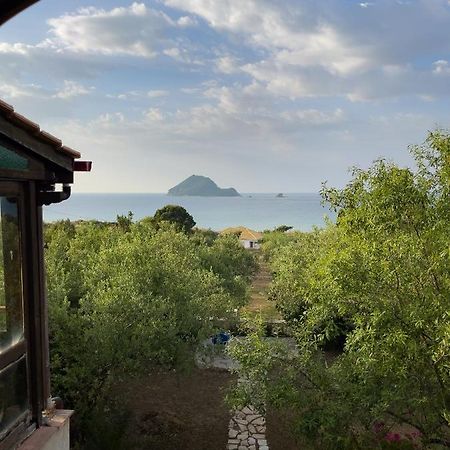 Villa Anta House By The Sea Lithakia  ภายนอก รูปภาพ
