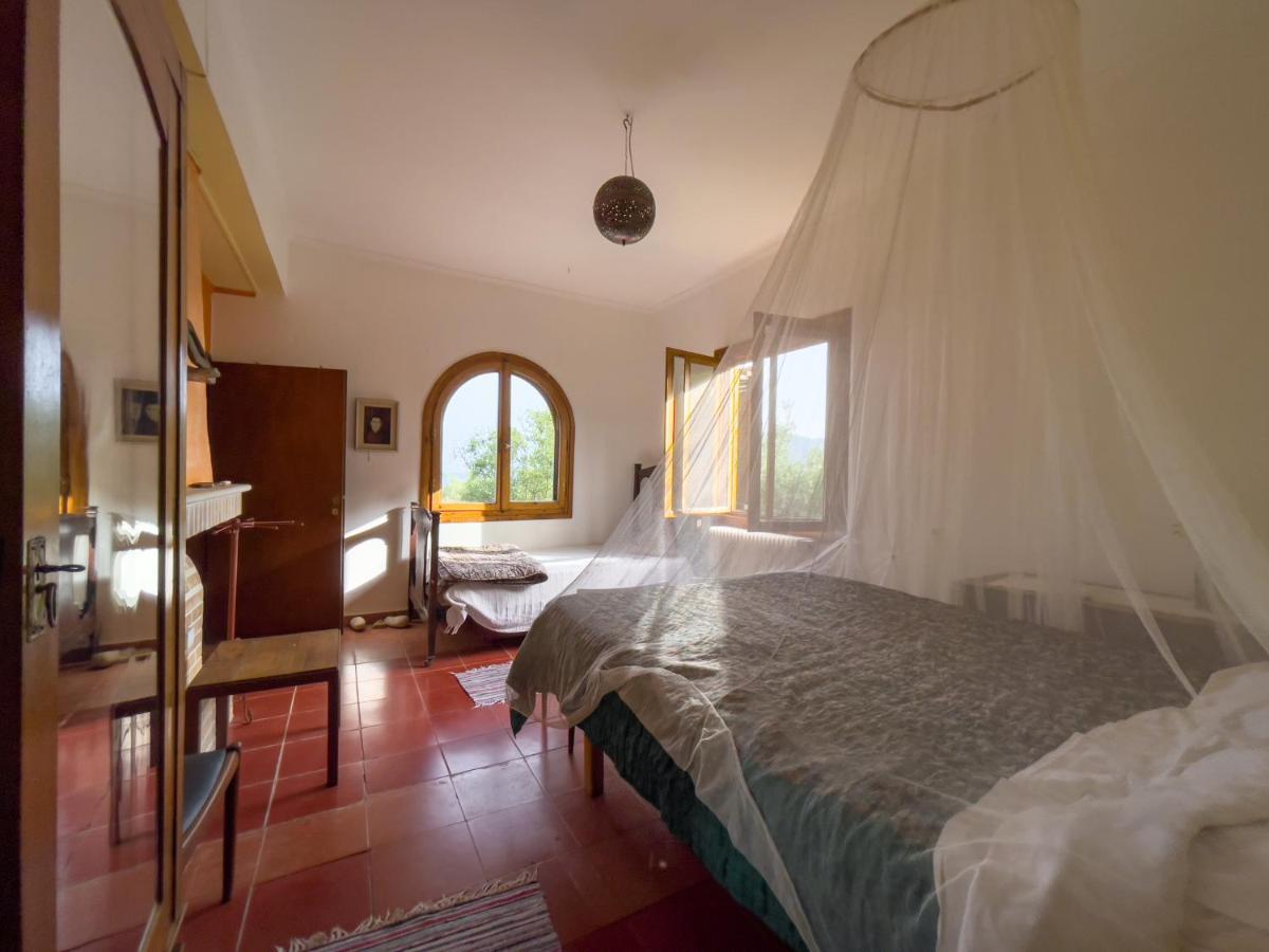Villa Anta House By The Sea Lithakia  ภายนอก รูปภาพ